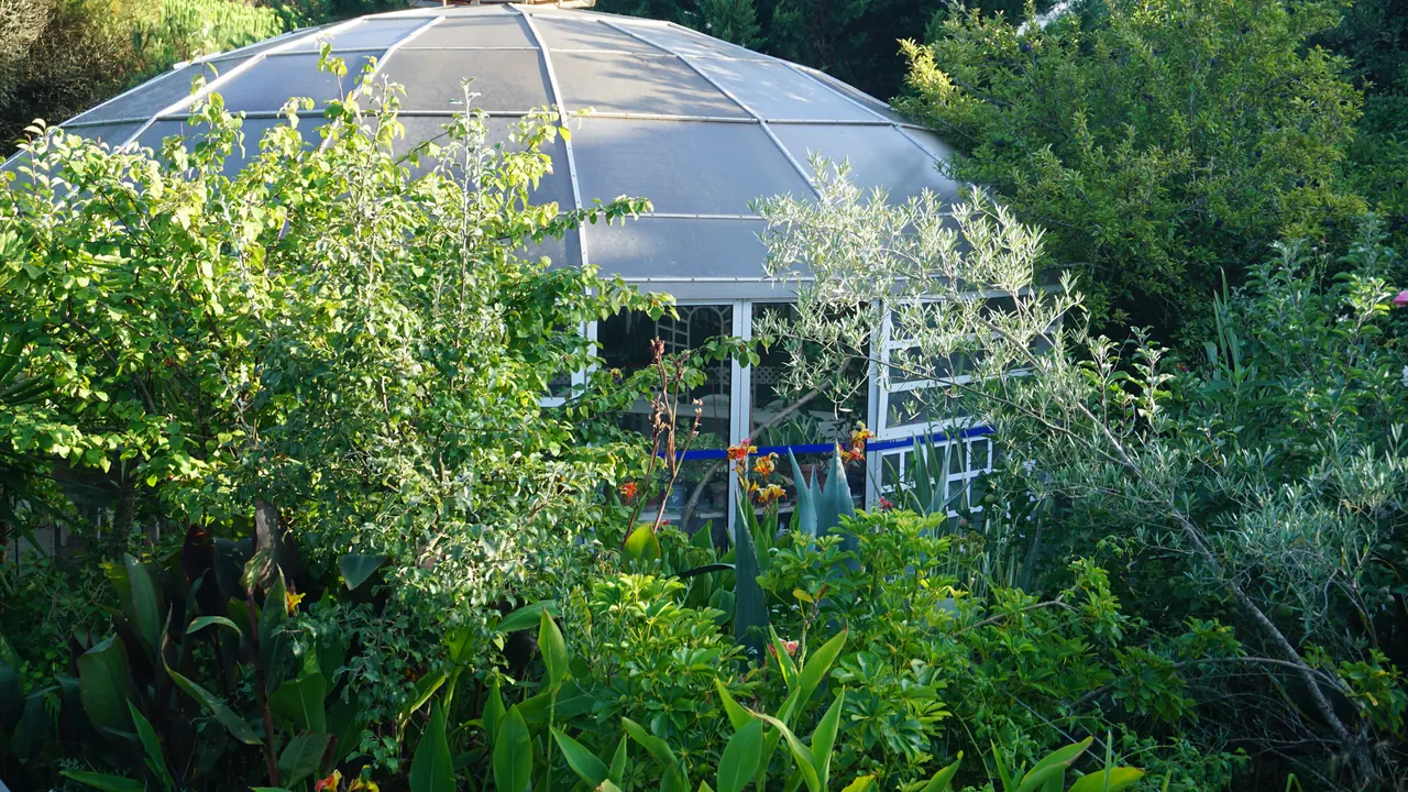 Dome escondido entre a vegetação da Vila Oculta