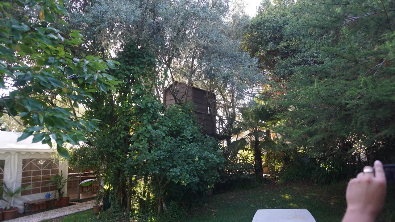 Vegetação e caminhos da Vila Oculta em Sintra